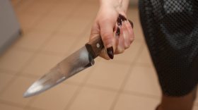 Жительница Сокола напала с ножом на соседку из-за спора о противомоскитной сетке