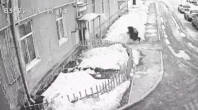 Пласт снега упал с крыши многоэтажного дома и чуть не убил семью вологжан