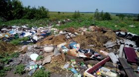 За последние пять лет в Вологодской области было обнаружено 30 свалок отходов животноводства и лесозаготовки