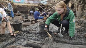 Археологи расскажут, как определить возраст находок по годичным кольцам, в Вологде 26 января