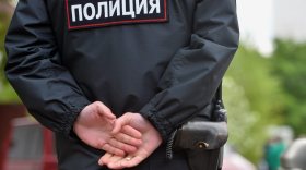 В Вологде осудили футбольного болельщика, который оскорбил полицейского