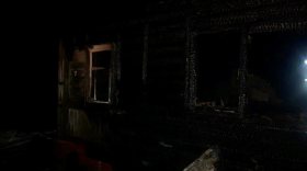 Мужчина и женщина погибли при пожаре в Череповецком районе