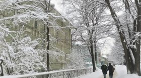 13 сантиметров снега выпало в Вологде за минувшие выходные