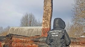 В сгоревшей бане в Вытегорском районе нашли тело мужчины
