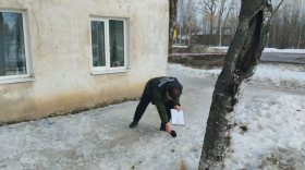 В Сокольском районе двое детей пострадали при падении наледи с крыши дома