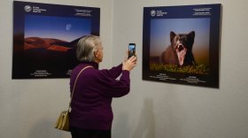 Выставка фотографий российской природы работает в Вологде