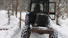 «Чёрного лесоруба» поймали на делянке в Вологодской области