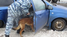 В Шекснинском районе полицейская собака нашла наркотики в остановленной на трассе машине