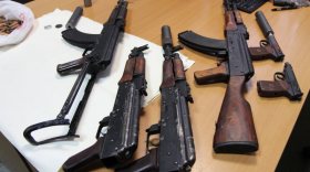 В Вологодской области в лесу нашли тайник с автоматами и пистолетами