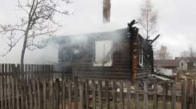 Причиной смерти ребенка в пожаре в Вологодской области стало пьянство родителей