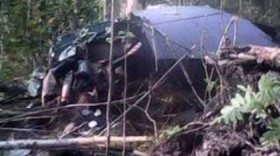Вологжанка разбилась на вертолёте в Ленинградской области