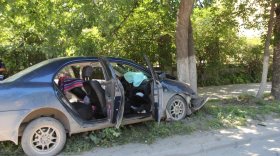 "Тойота" врезалась в дерево в Вологде