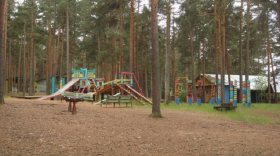 Воспитанники детдома сбежали из детского лагеря «Искра» в Череповецком районе