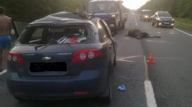 На трассе Вологда-Новая Ладога четыре человека пострадали в ДТП с лосем
