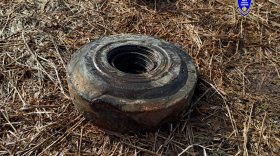 В реке Вологде обнаружили учебную противопехотную мину