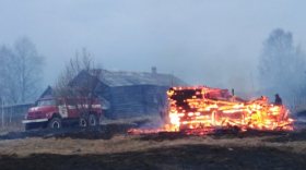 В Вологодской области сгорела деревня