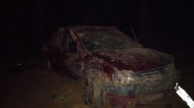 В Бабаевском районе водитель "Рено" опрокинулся в кювет и погиб