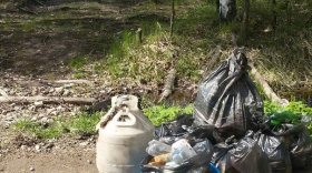 Онежское озеро избавили от десятков мешков мусора