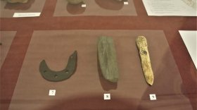 Выставка находок вологодских археологов открылась в Доме Левашова