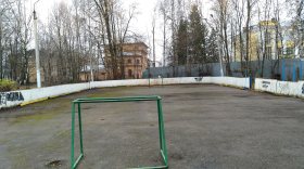 Евгений Доможиров предлагает вологжанам сообщать ему о неубранных хоккейных кортах