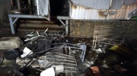 На улице Преображенского в Вологде произошел пожар на складе супермаркета 