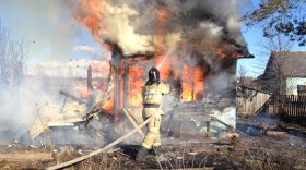 В Череповце во время пожара в дачном домике получил ожоги бездомный
