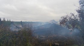 Женщина погибла в пожаре в Вологодской области