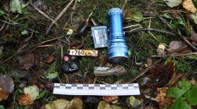 Останки мужчины, найденные в лесу под Вологдой, отправят на генетическую экспертизу