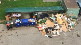 Из двора дома на улице Новгородской в Вологде месяц не вывозили мусор