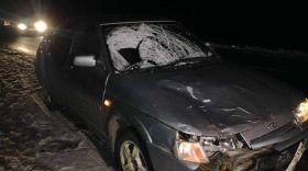 На трассе в Череповецком районе ночью насмерть сбили пешехода