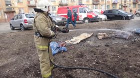 Бездомный устроил пожар в подвале жилого дома в Череповце