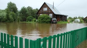 В Грязовецком районе часть деревни затопило из-за бобров