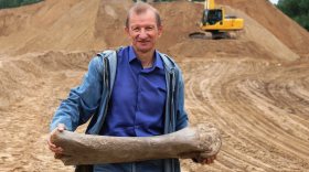 Бедренную кость мамонта нашли в Сокольском районе Вологодской области