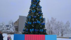 Жители Климовского в Череповецком районе сами купили для поселка новогоднюю елку 