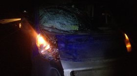 Водитель насмерть сбил двух женщин на трассе в Череповецком районе