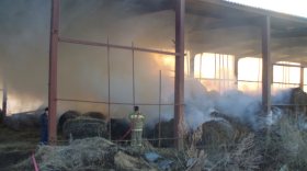 В Вологодском районе из-за детской шалости сгорело более 30 тонн сена
