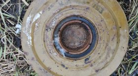 Житель Вологодского района, гуляя с собакой, нашел учебную противотанковую мину