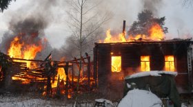 Единственный житель деревни Мыза в Вологодской области погиб при пожаре