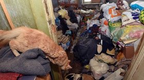 Жильцам нескольких домов в Вологде велели копить мусор у себя в квартирах
