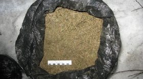  Мешок марихуаны прятали наркоторговцы в лесу под Череповцом
