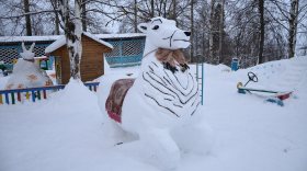 Больше 60 снежных крепостей появилось в Вологде