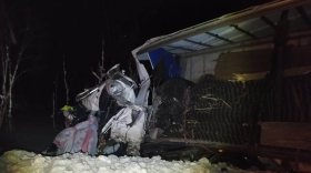 В Вытегорском районе в ДТП погиб водитель грузовика