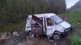 Под Череповцом автомобиль ГАЗ съехал в кювет: погибла пассажирка