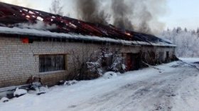 Пять свиней и шесть кур погибли на пожаре в Харовске