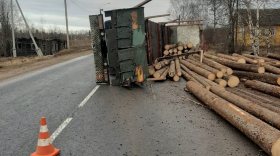 В Вытегорском районе грузовик с лесом опрокинулся на дорогу