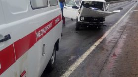 В Сямженском районе водитель «Нивы» уснул за рулем и выехал на встречку