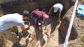 Следы поселения обнаружили археологи во время раскопок на Поляне Белоризцев в Вологде