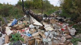 Территорию возле парка Мира в Вологде завалили тоннами мусора