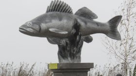 В Белозерске открыли памятник судаку, сняв с него рыболовную сеть