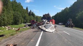 Мужчина получил травмы в лобовом столкновении грузовиков на трассе под Вологдой